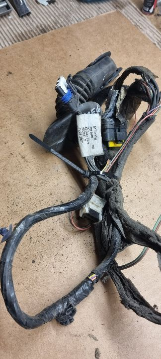 05604 Cablaj electric usa stanga spate megane 2 8200217370