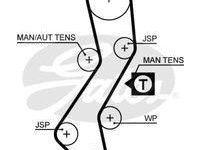 5451xs curea distributie pt ford 1.8