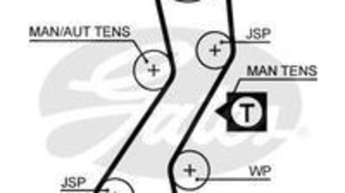 5451xs curea distributie pt ford 1.8