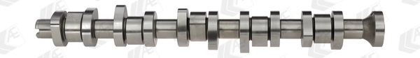 AE Ax cu came CAM916 model VW MULTIVAN T5 (7HM, 7HN, 7HF, 7EF, 7EM, 7EN) BLJ 2461cc 163cp 120kW 2003 2004 2005 2006 2007 2008 2009