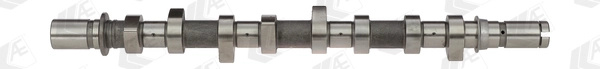 AE Ax cu came CAM921 model DACIA LOGAN EXPRESS (FS_) K9K 794 1461cc 65cp 48kW 2007 2008 2009 2010 2011 2012