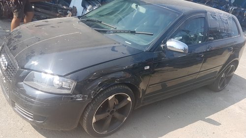 Aeroterma Audi A3 8P 2008 hatchback 1.9 tdi