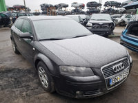 Alternator Audi A3 8P 2007 hatchback 1.9 TDI