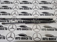 Amortizoare capota Mercedes B-class W245 set