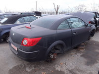 Amortizoare fata cu arc Renault Megane 2 Cabrio 1.6 83KW K4M-T7 2002-2008