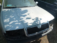 Amortizoare fata Skoda Octavia 1.8 Turbo 150 cp an 2004