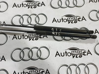 Amortizoare haion Audi q3 8u