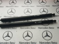 Amortizoare haion spate Mercedes ML W164 set