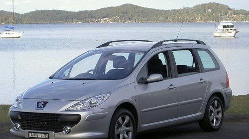 Amortizoare peugeot 307 combi 1.6 hdi