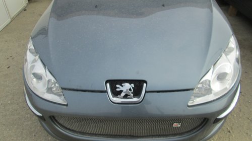 Amortizoare Peugeot 407
