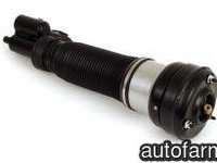 Amortizor Airmatic fata Mercedes S Klass BILSTEIN 220 320 24 38