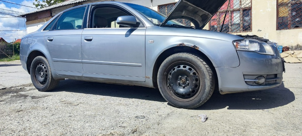 Amortizor Audi A4 B7 2.0 TDI cod motor B