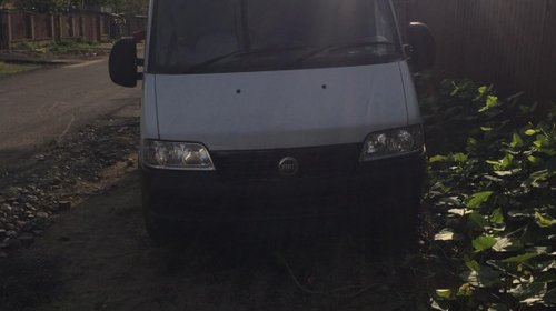 Amortizor capota Fiat Ducato 2004 BUS 2.3 JTD