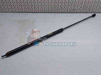 Amortizor capota Renault Megane 3 Combi [Fabr 2008-2015] 654710003R