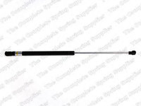 Amortizor capota VW GOLF 4 (1J1) (1997 - 2005) QWP WGS501