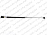 Amortizor capota VW GOLF 4 (1J1) (1997 - 2005) QWP WGS192