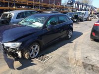 Amortizor haion Audi A3 8V 2016 hatchback 1.0 TFSI