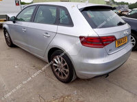 Amortizor haion dreapta Audi A3 8V [2012 - 2016] Sportback hatchback 5-usi 1.6 TDI MT (110 hp)