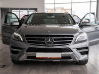 Amortizor haion dreapta Mercedes-Benz M-Class W166 [2011 - 2015] Crossover 5-usi ML 300 BlueEfficiency 7G-Tronic Plus 4Matic (249 hp) ML W166