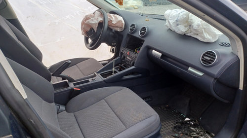 Amortizor haion dreapta SET Audi A3 8P/8PA [facelift] [2004 - 2008] Sportback hatchback 5-usi 1.9 TDI MT (105 hp)