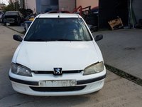 Amortizor haion Peugeot 106 2002 BERLINA 1124 B