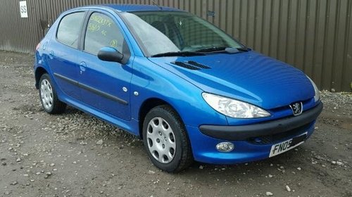 Amortizor haion Peugeot 206 2002 hatchback 1.4 hdi