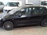 Amortizor haion Peugeot 307 2002 Hatchback 1.4 hdi