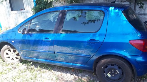 Amortizor haion Peugeot 307 2002 hatchback 1.6