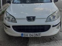 Amortizor haion Peugeot 407 2007 break 2,0d