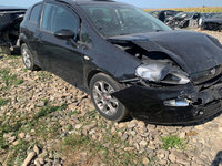 Amortizor haion stanga Fiat Punto 3 [facelift] [2009 - 2012] Evo hatchback 5-usi MOTOR 1.3 DIESEL