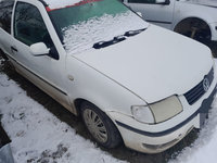 Amortizor haion Volkswagen Polo 6N 2001 hatchback 1.4 benzina