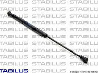 Amortizor luneta RENAULT Scenic II JM0 1 STABILUS 2572WZ PieseDeTop