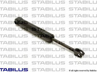 Amortizor portbagaj 8066BB STABILUS pentru Mercedes-benz Kombi Mercedes-benz E-class