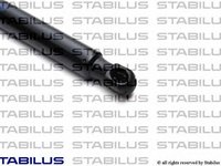 Amortizor portbagaj AUDI A6/A6 ALLROAD 05- 650N - OEM-STABILUS: 024559|STA024559 - 024559 - LIVRARE DIN STOC in 24 ore!!!