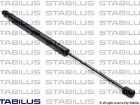 Amortizor portbagaj AUDI ALLROAD combi (4BH, C5) - STABILUS 248594