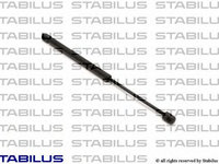 Amortizor portbagaj RENAULT CLIO II caroserie (SB0/1/2_) (1998 - 2016) STABILUS 0818MM