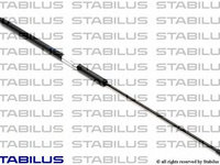 Amortizor portbagaj SEAT TOLEDO III (5P2) (2004 - 2009) STABILUS 019856