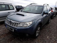 Amortizor spate stanga Subaru Forester 3 [facelift] [2011 - 2013] Crossover 2.0 MT (148 hp)