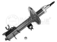 Amortizor telescop CHEVROLET AVEO hatchback T250 T255 MEYLE 29266230002