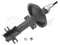 Amortizor telescop FIAT MAREA Weekend 185 MEYLE 2266230005