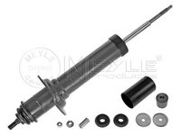 Amortizor telescop MERCEDES-BENZ M-CLASS W163 MEYLE 0267250023