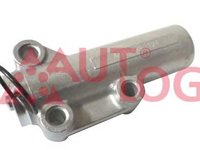 Amortizor vibratii curea AUDI A4 8E2 B6 AUTLOG RT1794