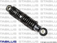 Amortizor vibratii curea transmisie cu caneluri 1111QS STABILUS pentru Audi A6 Audi A8