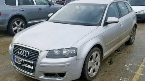 Ansamblu stergator cu motoras Audi A3 8P 2005