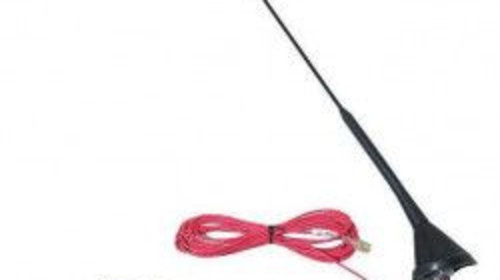 Antena Auto + Amplificator 40 cm lungime 9322