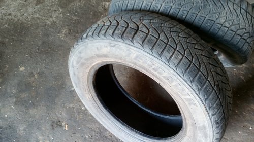 Anvelope iarna 175/70 r14