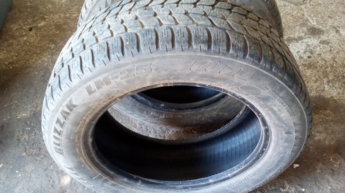 Anvelope iarna 205/60 r16 