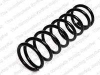 Arc spiral FORD FOCUS II DA LESJOFORS 4227579