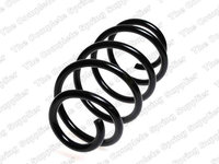 Arc spiral punte fata (LS4095071 LESJOFORS) VW