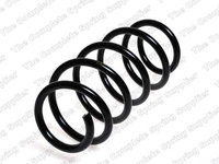 Arc spiral puntea spate (4263459 LESJOFORS) OPEL,VAUXHALL